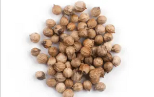 CORIANDER